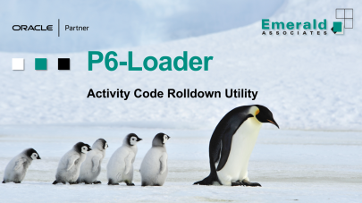 Activity Code Rolldowns in Primavera P6 Using the P6-Loader